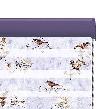 Amazon Com Liqicai Horizontal Window Shades Zebra Double