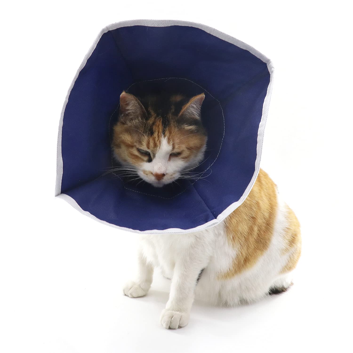 Photo 1 of QIYADIN Soft Cat Recovery Collar Cat Cone E Collar Nonwoven Fabric Elizabethan Collar Loops-Protective Wound Healing Specially Designed for Cats and Puppies - Easy to Eat and Drink (M)