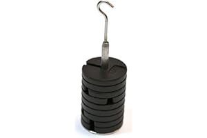Eisco Labs Set of 9 20g Weights on Hanger - for Physics Experiments