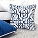Homey Cozy Printed Pillow Cover,Blue Series White Geometric Decorative Square Couch Cushion Pillow Sham Case 20 x 20 Inch, Cover Only