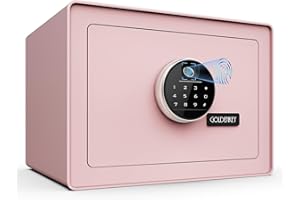 Goldenkey Luxury Jewelry Safe with Fingerprint&Keypad Lock, Document Safe Box with Soft Velvet Lining, Removable Shelf, High Security for Home Office, Hotel, 1.2 Cu.Ft.