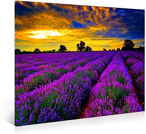 SimonfineUs Purple Lavender Morning Framed Canvas Wall Art Frence Provence Flowers Blossoming Modern Landscape Painting on Canvas Home Decorations
