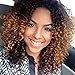Brazilian Human Hair Curly Wigs for Black Women Kinky Curly Lace Front Wigs With Baby Hair Two Tone Ombre Color 1B/30 14inch