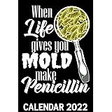 Umsl Calendar 2022 You Cannot B Cereus Calendar 2022: Bacteria Pun Funny Lab Tech Biologist  Microbiology Themed Calendar 2022 Cover Appointment Planner Book &  Organizer For Daily Notes: Publishing, Smart Natjoo: 9798757730110:  Amazon.com: Books