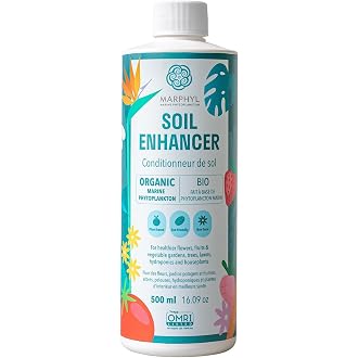 Miracle Gro All Purpose Concentrated Liquid Plant Food, 800ml - View 8