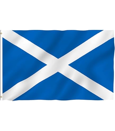 Amazon.com : YongFoto Scotland Scottish Flag 1x1.5ft 100