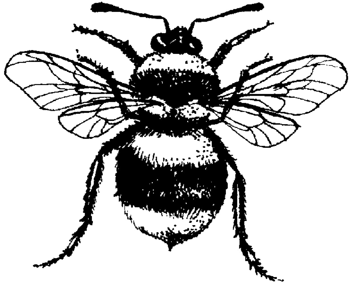 Art Stamps Bee Stamp