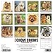 Just Chow Chows 2019 Wall Calendar (Dog Breed Calendar)