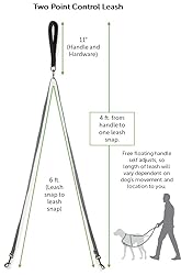 PetSafe Two Point Control Leash, Padded and