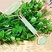 Jade Roller for Face, Jade Facial Roller, Gua Sha Scraping Massager, Anti-aging 100% Natural Facial Jade Stone Set - Face Eye Neck Beauty Roller For Slimming & Firming