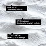 UpCircle Jumbo Shampoo Crème Rosemary Pink Berry 150ml Gift Box view 3