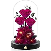 Agrul Valentines Day Flowers Roses Gifts for Her,Forever Real Preserved Roses in Glass Dome,Valentines Day Anniversary Birthday Gifts for Wife Girlfriend Women Mom Best Friend Her/Rose