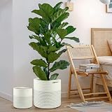 Tenn Well 30cm Plant Pot Basket with Liner Black and White Cotton Indoor view 6