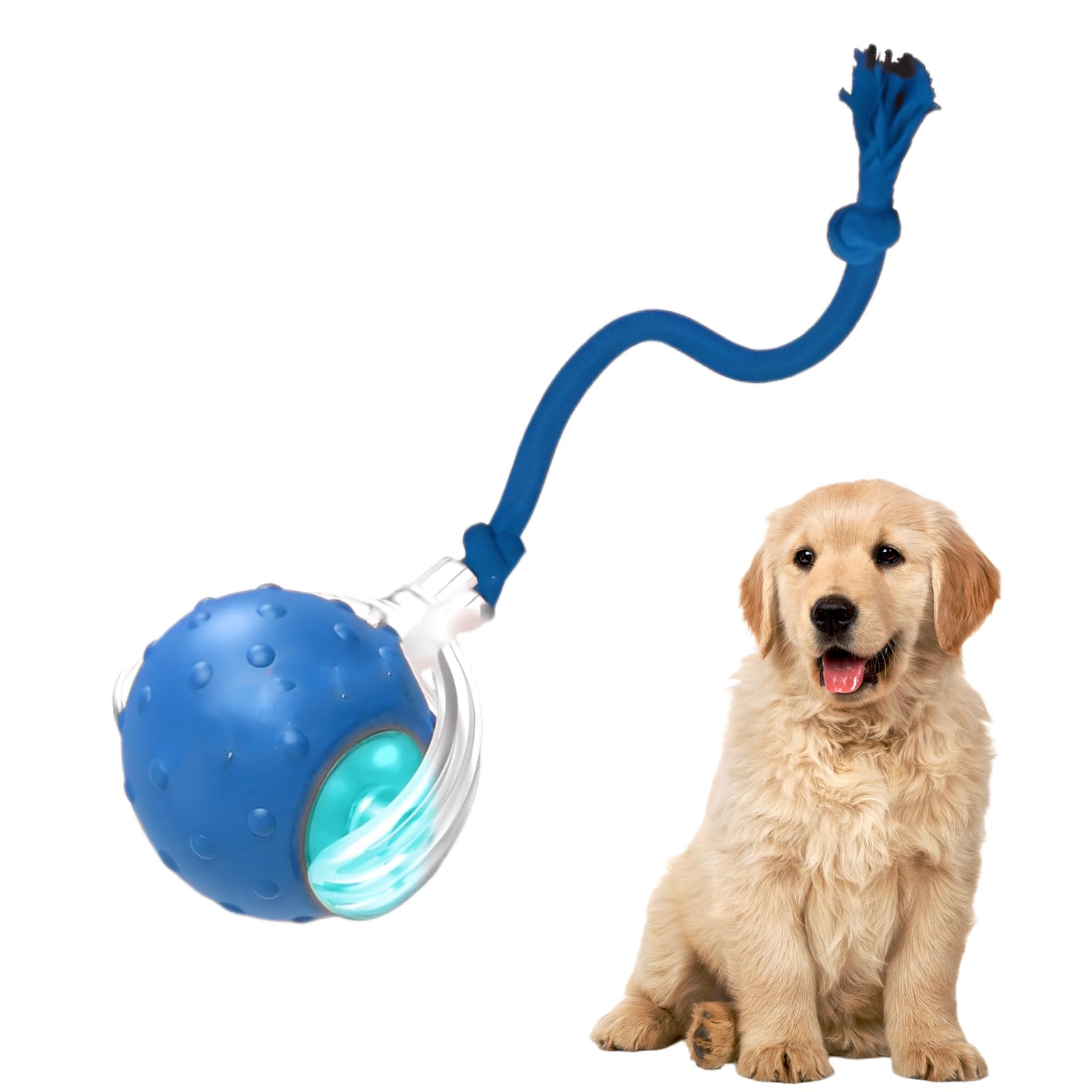 Photo 1 of ***DAMAGED - SEE NOTES/PICTURES***
Tiny Fetch Dog Toy - Interactive Dog Toys, 360°Smart Automatic Rolling Electric Dogs Ball Toy with Birdsong, Automatic Obstacle Avoidance, Rechargeable, Boredom Relief for Dogs & Cats (Blue*1 PC)