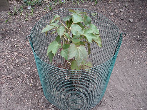 Crafted Products 300 Garden Fence Kit - Thumbnail 5