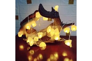 Fantasee Himalayan Salt String Light, Natural Hand Carved Salt Crystal Light Release Negative Ions for Bedroom, Living Room, 