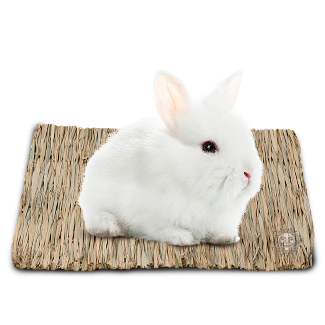 Seagrass Rabbit Mat Protect Paws From Wire Cage Treat Bunny's Sore