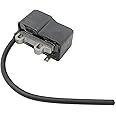 Aazon.co: Ignition Coil A411000501 For Echo PB-250, PB 250, PB250, PB