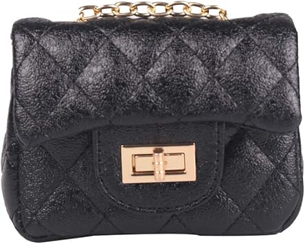 little black purse