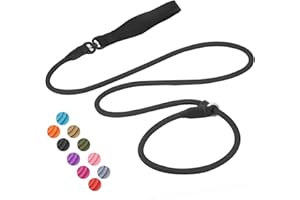 HEYDOGGY Slip Lead Dog Leash, Strong Slip Leash Dog Training Leash [360° Swivel Anti-Tangle] 4FT / 6FT Durable Nylon No Pull Walking Leash Dog Rope Lead for Small Medium Large Puppy Dogs 6ft Black