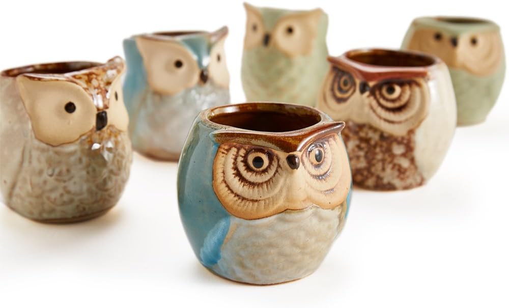 Sun-E 2.5 Inch Owl Pot Ceramic Flowing Glaze Base Serial Set Succulent Plant Pot Cactus Plant Pot Flower Pot Container Planter Bonsai Pots with A Hole Idea 6 in Set: Kitchen & Dining