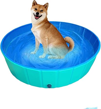 cosas para perros amazon