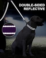Taglory Dog Lead Reflective Double Sided 2 cm x 120 cm Purple view 2