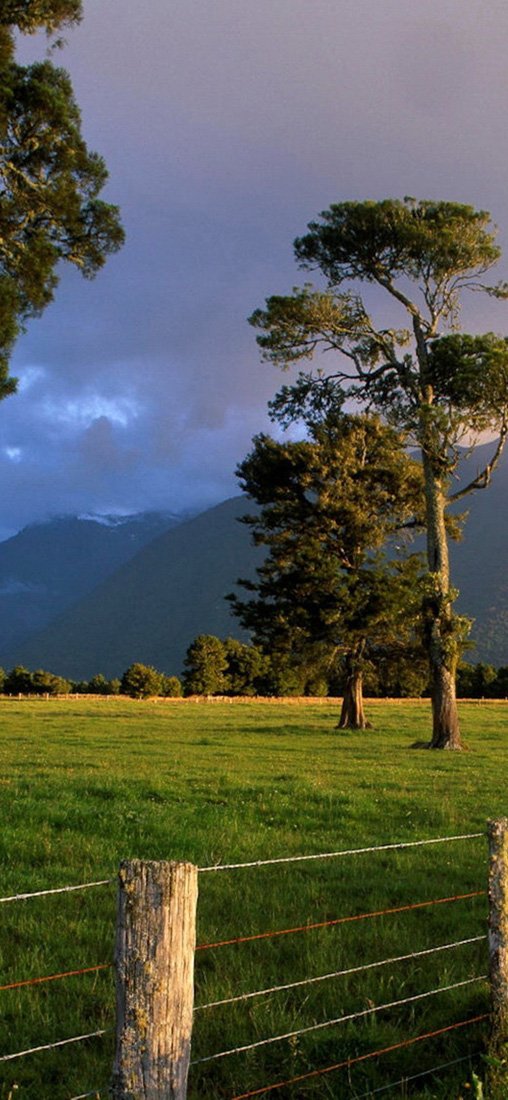 PeelitStickit, Beautiful Nature Wall Murals, ID-0842, vinyl