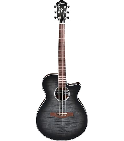 Amazon.com: Ibanez ACFS380BT Acoustic-Electric Guitar - Open Pore