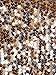 Anna-Kaci Womens Shiny Sequin Long Sleeve Glitter Cropped Blazer Bolero Shrug