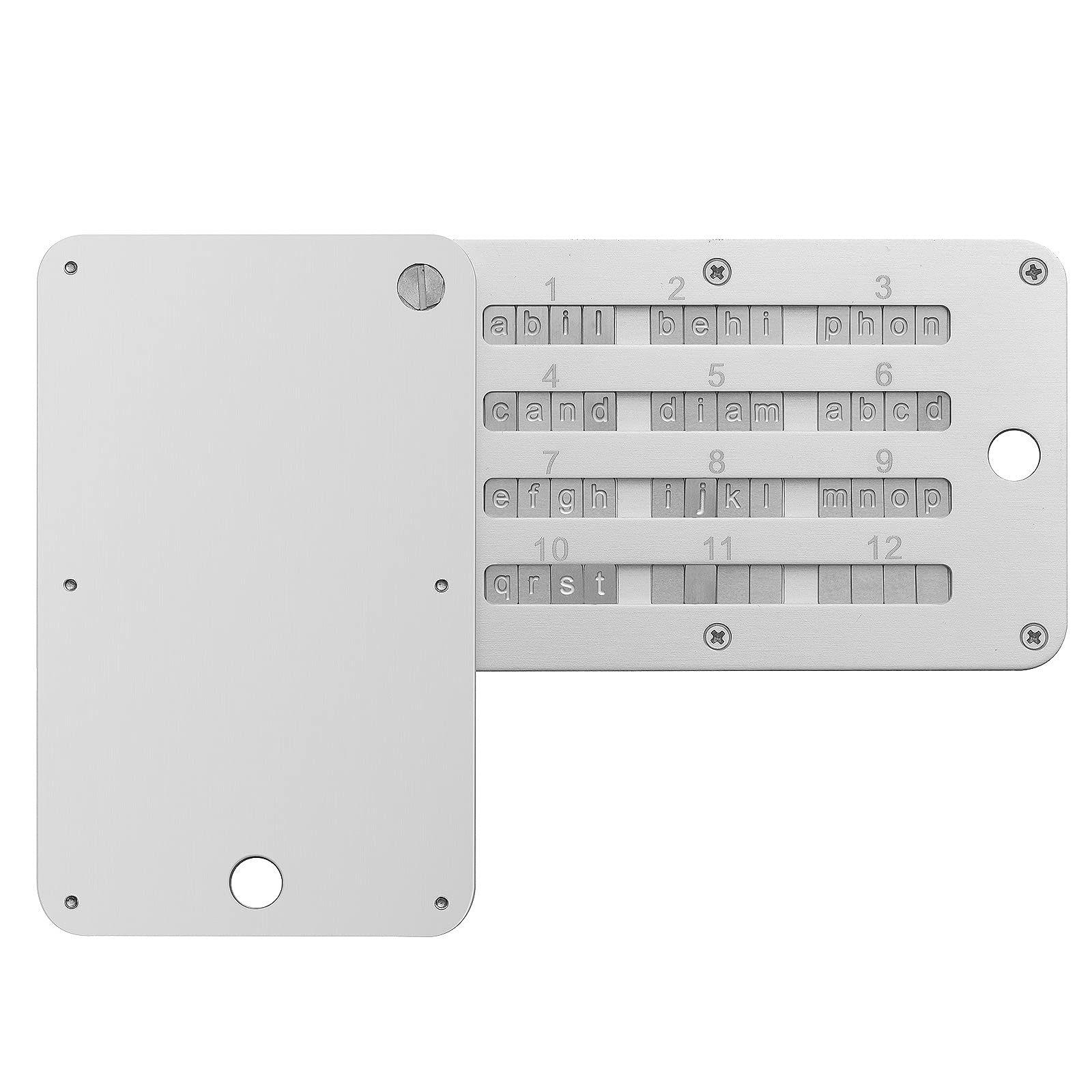 ArlinaL Crypto Steel Bitcoin Wallet, Seed Phrase Storage Backup Crypto Seed Storage,Hardware Wallet Compatible with BIP39 Hardware, Supports up to 24 Words