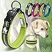 PETTOM Adjustable Nylon Pet Collar Padded 4/5