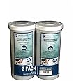 WFD, WF-CB105-BB 4.5-inch x 9-3/4-inch Activated Carbon Block Water Filter Cartridge, fits in 10-inch Big Blue (BB) filter housings (2 Pack, 5 Micron)