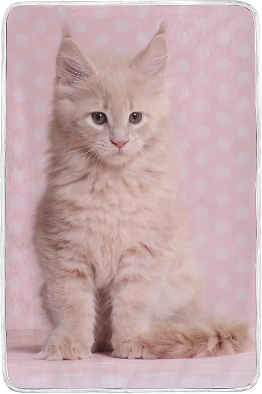Amazon Com Colourlife Cute Maine Coon Kitten Queen Soft Blanket