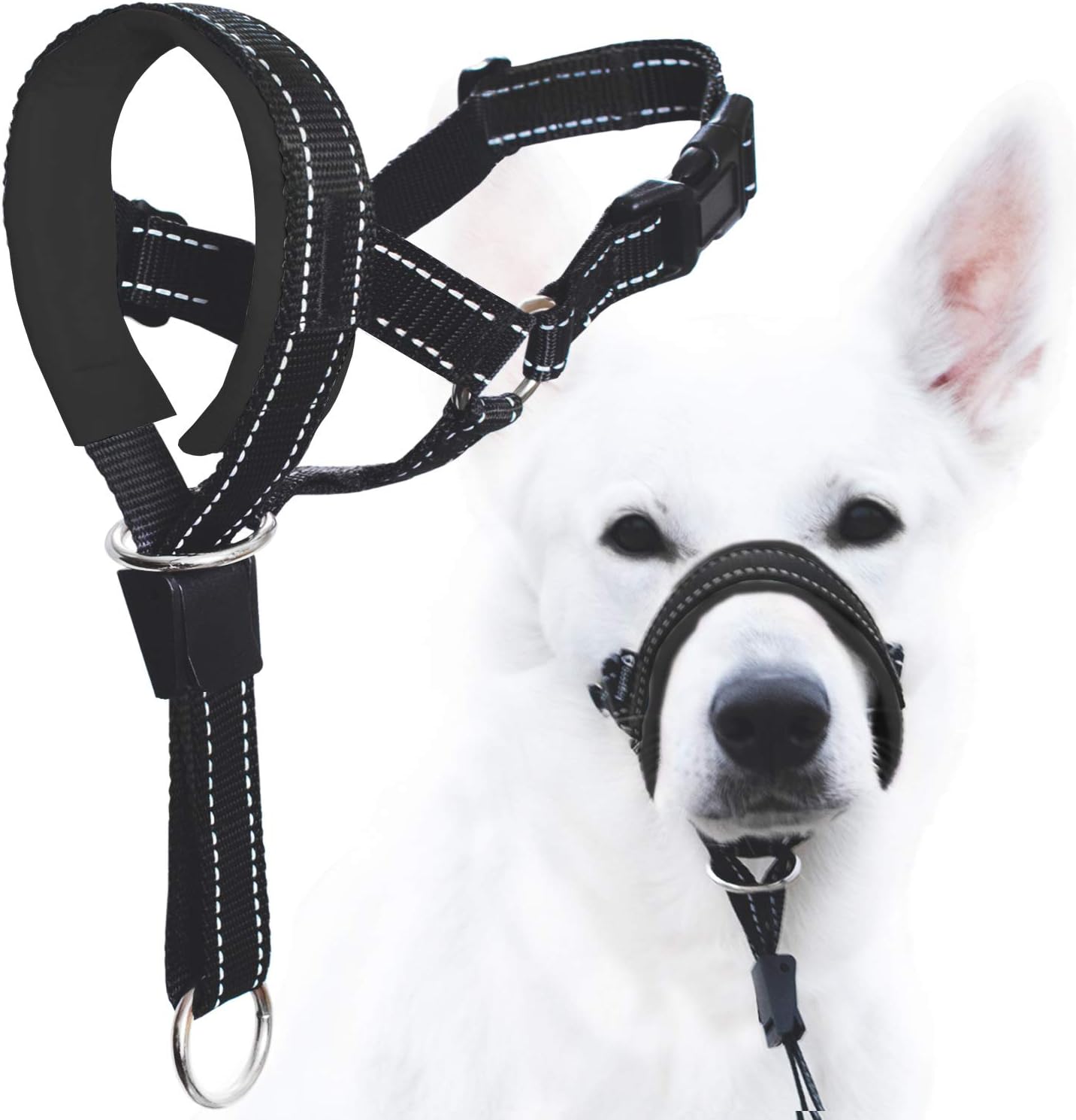 Dog Halter Australia at Vickie Rudisill blog