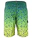 Dorado Boardshort