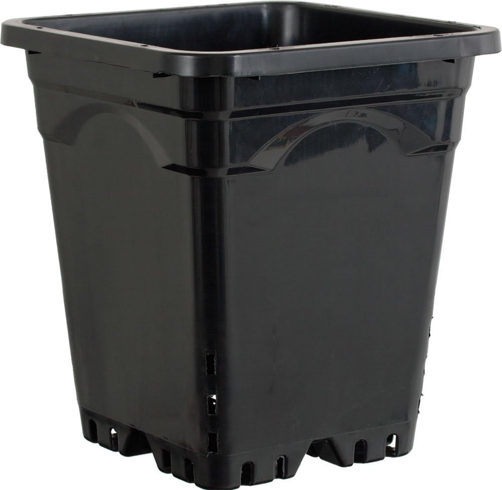 Active Aqua HG9X9SB Square Flower Pot 22.9 x 22.9 x 25.4 cm