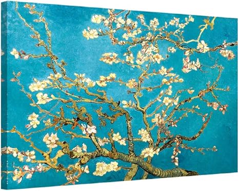 amazon prime van gogh