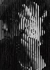 I AM HERO(初回限定「俺と、友だち」盤)(Blu-ray付)