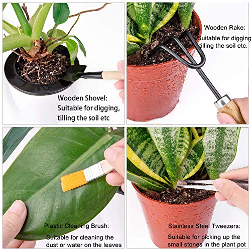 Hanhan 10 Pcs Gardening Bonsai Tools Set Succulent Garden Hand Tool Kit with Shovels, Rakes, Fork, Tweezers, Bud & Leaf Scissor, Cleaning Brush