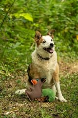 Petface Salina Squirrel Plush Dog Toy view 2