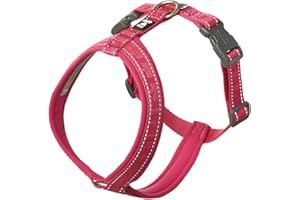 Hurtta Casual ECO Dog Y-Harness, Ruby, 14-18 in