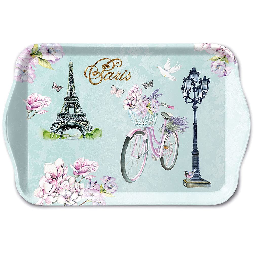 Paris Bike In Mini rectangular tray