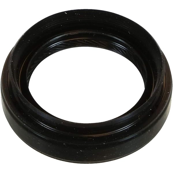 Amazon.com: National Oil Seals 710724 Oil Seal : Automotive
