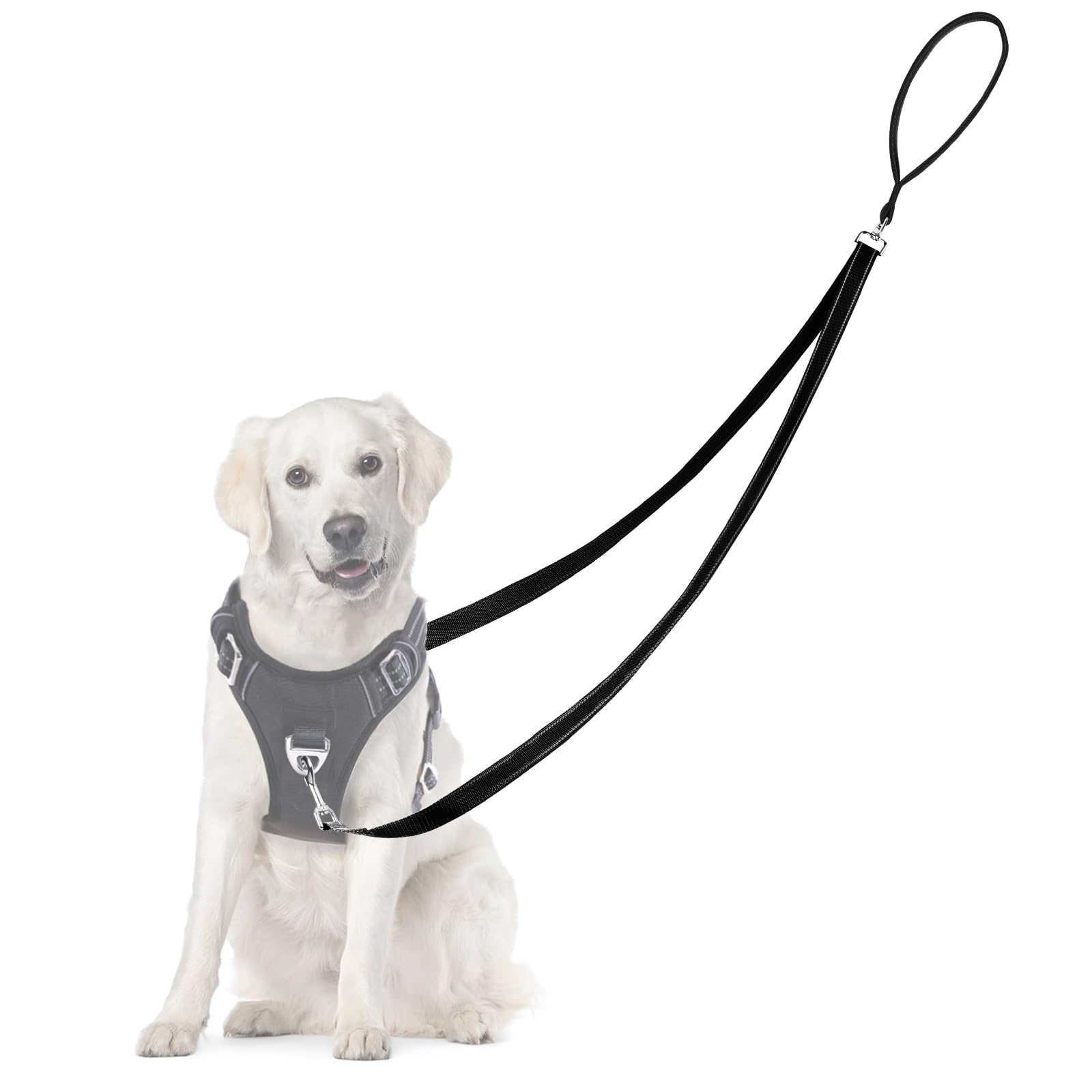 Adiwo Two Point Control Dog Leash, Professional Anti-Pull Dog Lead with Reflective Stitching and Soft Padded, Easy to Convert to Single Lead (Black)