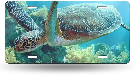 Amazon.com: others License Plate Green Sea Turtle, License Plate