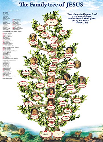 Family tree of jesus - colored holy land biblical genea…