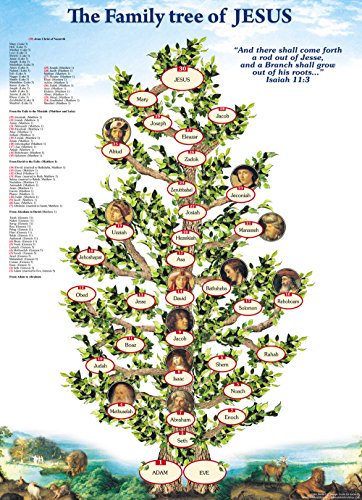 Family Tree of Jesus - Holy Land Biblical Genealogy Poster