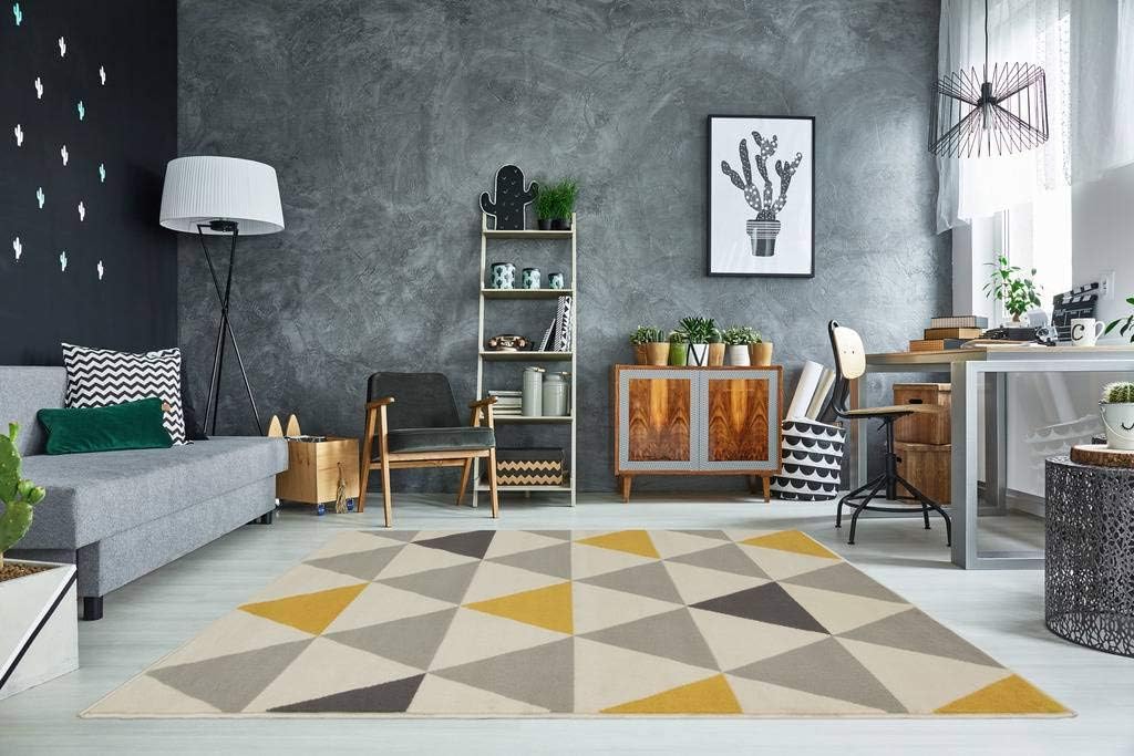 Best living room rugs 9×12 cream shag