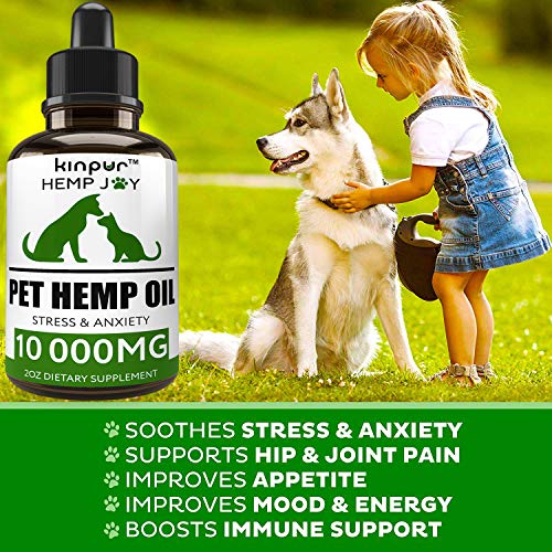 Kinpur Natural Hemp Oil for Dogs & Cats 10 000mg Pet Hemp Oil